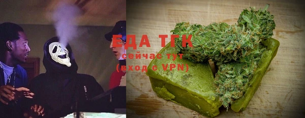 дживик Верхний Тагил