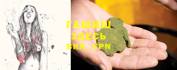 дживик Верхний Тагил