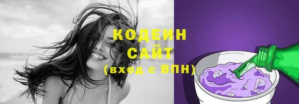 дживик Верхний Тагил