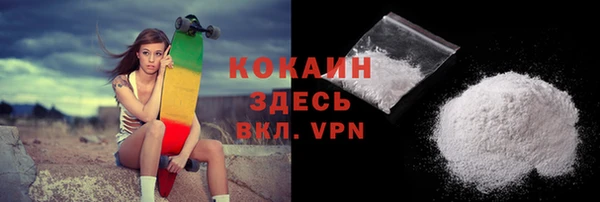 дживик Верхний Тагил