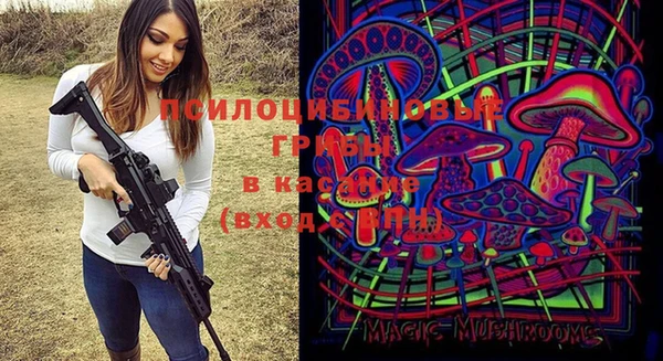 дживик Верхний Тагил